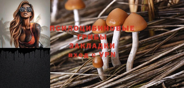 дмт Вяземский