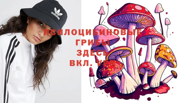 spice Вязьма