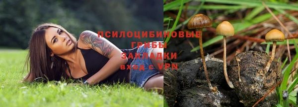 дмт Вяземский