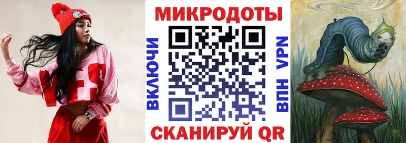 где найти наркотики  дарк нет формула  Псилоцибиновые грибы ЛСД  Заводоуковск 