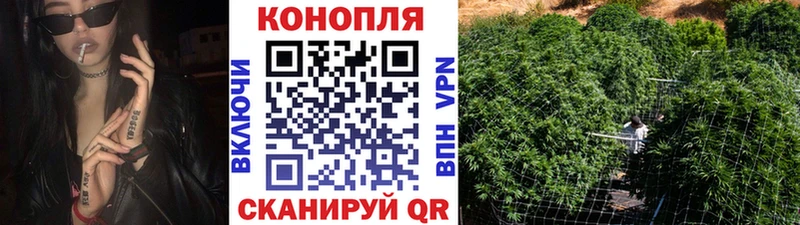 нарко площадка официальный сайт  Заводоуковск  Бошки марихуана Ganja 